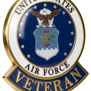EagleEmblems United States Air Force Veteran Logo Emblem Lapel / Hat Pin-0