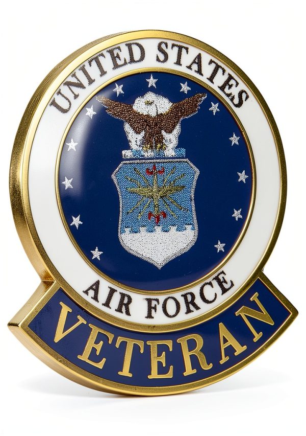 EagleEmblems United States Air Force Veteran Logo Emblem Lapel / Hat Pin-0